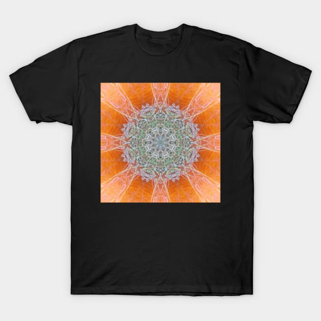 Kaleidoscope of colors T-Shirt by CPAULFELL